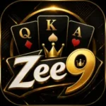 Zee9 Game